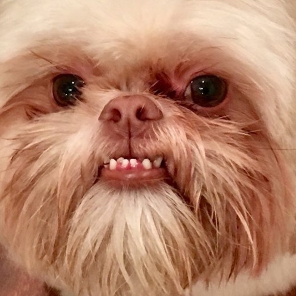 Meet your Posher, Ted - Picture 1 of 1